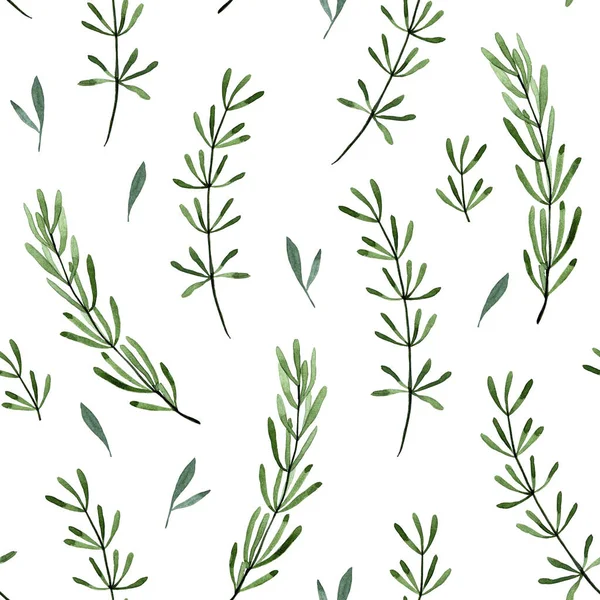 水彩画 有迷迭香叶和分枝的无缝图案 薰衣草 打印绿色迷迭香叶隔离在白色背景 — 图库照片