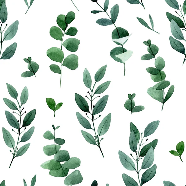 Rysunek Akwareli Bezszwowy Wzór Liśćmi Lasów Tropikalnych Wydrukować Zielony Eukaliptusa — Zdjęcie stockowe