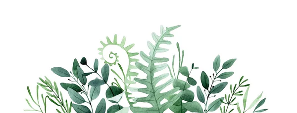 Suluboya Çizim Sınır Orman Yaprakları Bitkiler Kompozisyon Buket Yeşil Yaprak — Stok fotoğraf