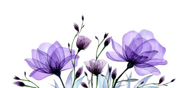 Sınır, şeffaf çiçekli kompozisyon. Mor güller, yabani gül çiçekleri ve yapraklar. hassas x-ışını deseni
