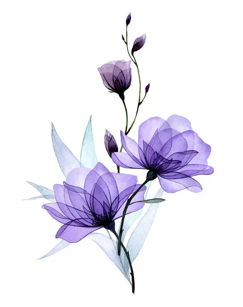 Compositie Met Transparante Bloemen Paarse Rozen Wilde Rozenbloemen Bladeren Delicaat — Stockfoto