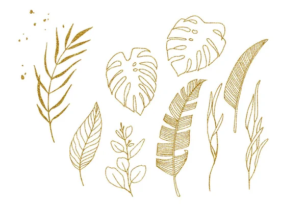 Set Van Gouden Tropische Bladeren Grafische Tekening Van Palmbladeren Monstera — Stockfoto
