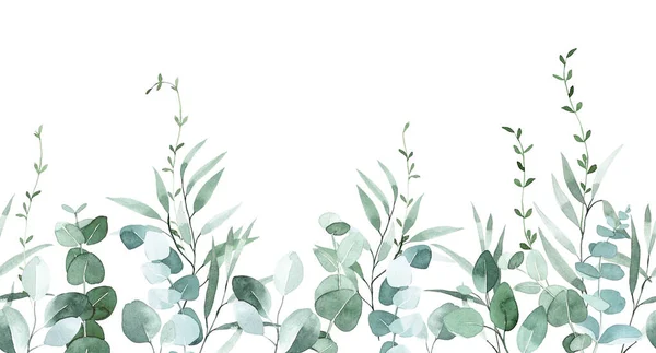Aquarellzeichnung Nahtloser Rand Rahmen Aus Eukalyptusblättern Zarte Illustration Grüne Eukalyptusblätter — Stockfoto