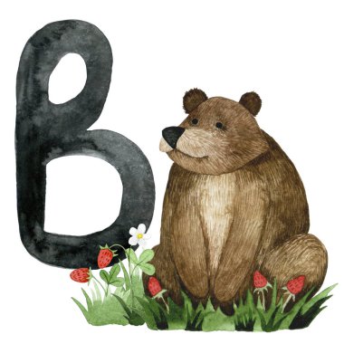 Alfabe B harfli kart. Çocuk alfabesi için şirin çizim, B harfi ve sevimli ayı hayvanı. suluboya el çizimi