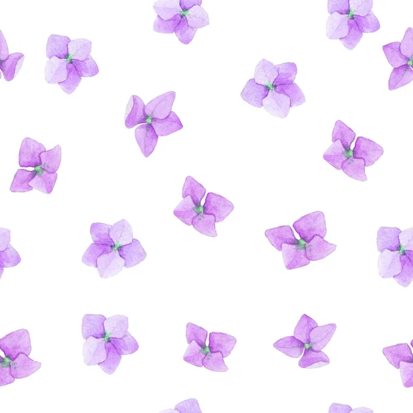 Seamless Watercolor Pattern Violet Hydrangea Flowers White Background Cute Print — Stock Photo, Image