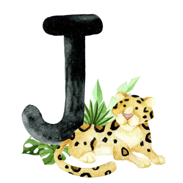 Watercolor Drawing Educational Card Letter English Alphabet Letter Jaguar Pattern — Stock Photo, Image
