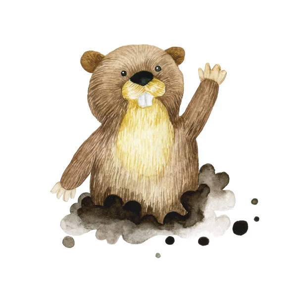 Akvarel Kliparty Pěkná Postava Gophera Dětská Ilustrace Lesní Zvířecí Gopher — Stock fotografie