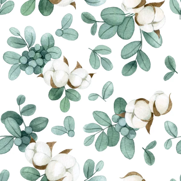 Rysunek Akwareli Bezszwowy Wzór Liśćmi Eukaliptusa Kwiatami Bawełny Białym Tle — Zdjęcie stockowe