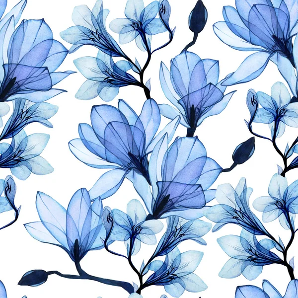 天衣无缝的水彩图案 蓝色透明的木兰花和菊花 柔和的老式图案 通风的 X光的 — 图库照片