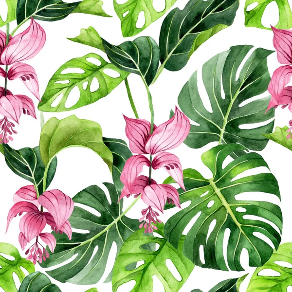 watercolor seamless pattern with tropical flowers and leaves. pink flowers and green leaves of medinilla magnifica on white background