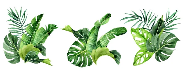 Akvarel Sada Kytic Skladby Tropickými Listy Listy Deštného Pralesa Palmy — Stock fotografie