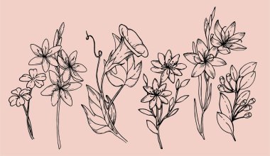 Çiçek dalı ve logo ya da dövme için minimalist yabani çiçekler. El yapımı düğün çimleri, davetiye için zarif yapraklar, tarih kartını sakla. Botanik kırsal trend yeşillik