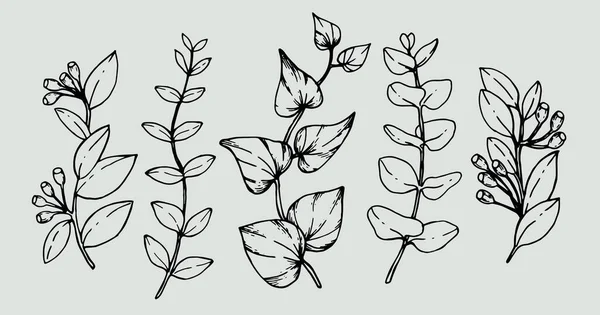 Conjunto Ramas Florales Flores Minimalistas Para Logo Tatuaje Línea Dibujada — Vector de stock