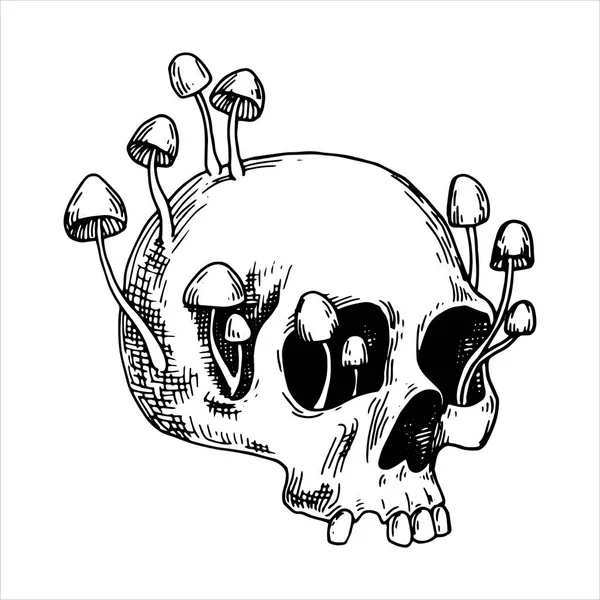 Vektor Zeichnung Schädel Und Giftige Pilze Grafische Zeichnung Skizzenstil Halloween — Stockvektor