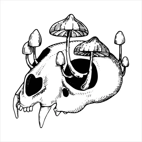 Vektor Zeichnung Schädel Und Giftige Pilze Grafische Zeichnung Skizzenstil Halloween — Stockvektor