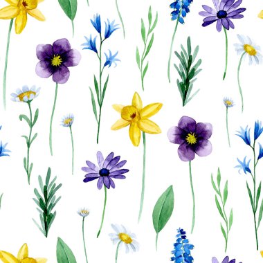Sulu boya deseni, kır çiçekleri beyaz arka planda bahar çiçekleri..