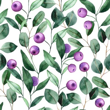 Mor böğürtlen ve okaliptüs yapraklı dikişsiz suluboya desen beyaz arka planda