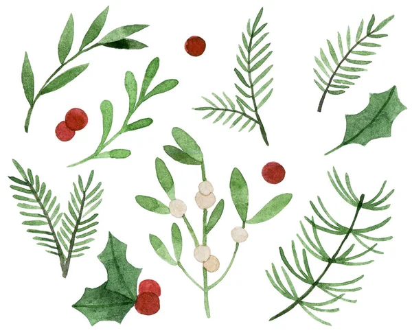 watercolor drawing. christmas plants. set of simple winter leaves and branches, holly, mistletoe, spruce.