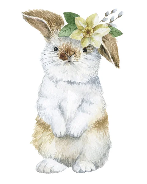 可爱的水彩画与复活节兔子 小野兔 白色背景上有花的兔子 — 图库照片