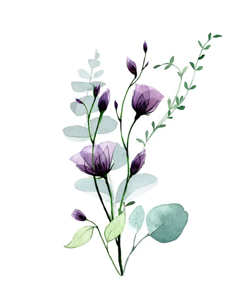 Akvarel Kytice Průhledných Květů Listů Eukalyptu — Stock fotografie