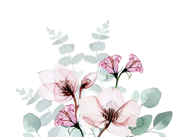 Aquarellzeichnung Nahtloser Rand Mit Transparenten Blüten Und Eukalyptusblättern — Stockfoto