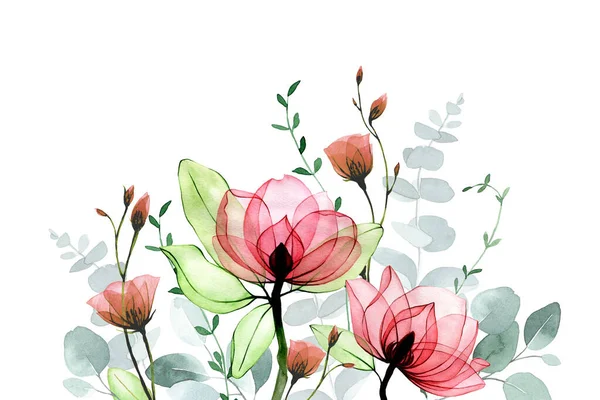 Suluboya Çizim Şeffaf Çiçekler Okaliptüs Yapraklarıyla Kusursuz Bir Sınır — Stok fotoğraf