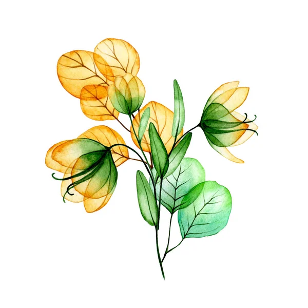 Suluboya Çizim Buket Şeffaf Çiçek Okaliptüs Yapraklarından Oluşan Sonbahar Kompozisyonu — Stok fotoğraf