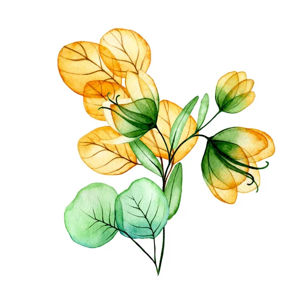 Akvarellritning Bukett Höst Sammansättning Transparenta Blommor Och Eukalyptus Blad Gula — Stockfoto