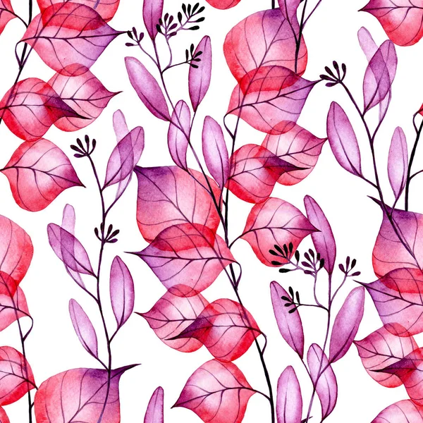 watercolor seamless pattern with transparent flowers and eucalyptus leaves. magenta pink purple print on white background