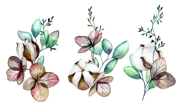 水彩画を描きました 花束のセット 綿花の組成 乾燥したハイドレンジアの花とユーカリの葉 — ストック写真