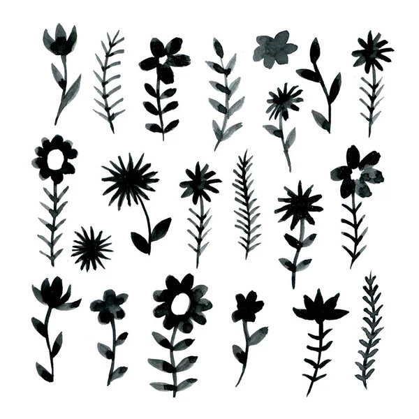 Conjunto Com Flores Simples Doodle Folhas Desenho Preto Branco Flores — Fotografia de Stock