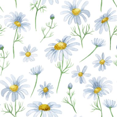 Papatyalarla sulu boya deseni. yabani çiçek deseni