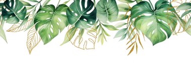 suluboya çizim, pürüzsüz sınır, tropik palmiye yaprakları ve canavar yaprakları ve altın yapraklı kompozisyon