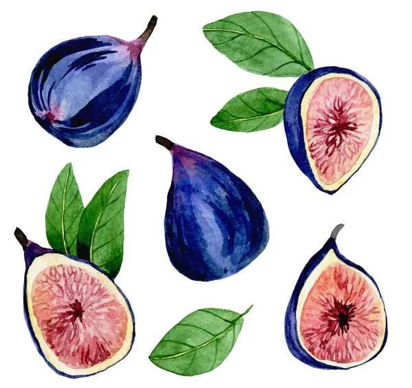 Dibujo Acuarela Conjunto Higos Frutas Tropicales Hermosa Ilustración Con Frutas — Foto de Stock