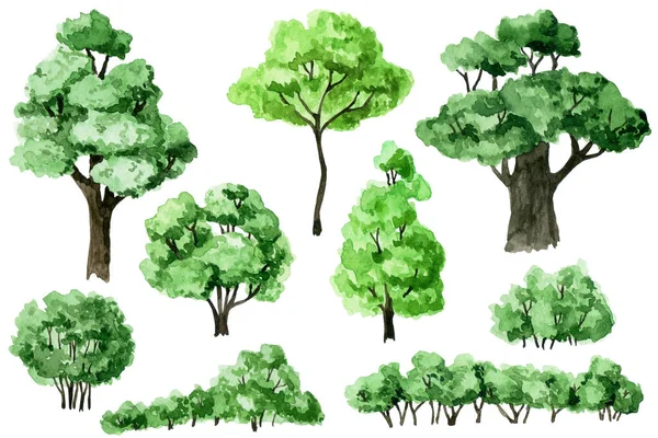 Dibujo Acuarela Conjunto Árboles Verdes Arbustos Bosque Elementos Jardín — Foto de Stock