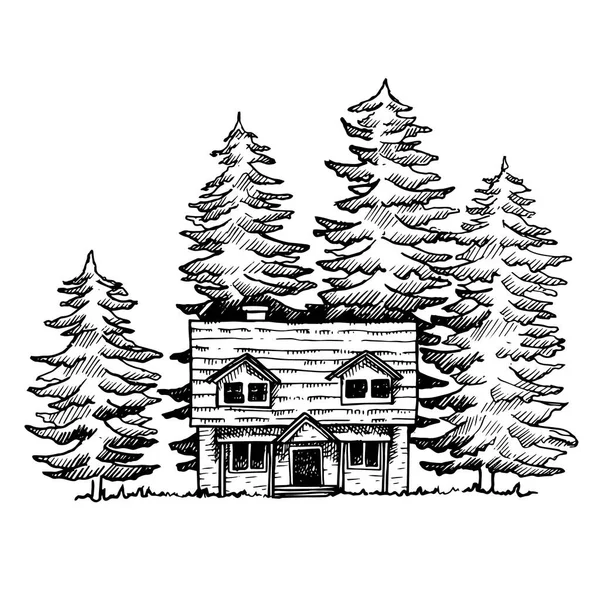 画成素描的矢量 林子里的房子 冷杉树背景上的旧木屋 — 图库矢量图片