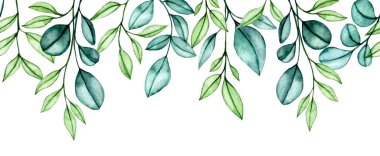 suluboya deseni, pürüzsüz kenar, şeffaf okaliptüs yapraklı çerçeve.