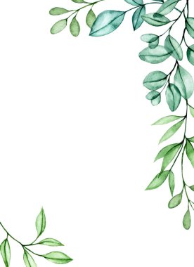 suluboya resim, şeffaf okaliptüs yapraklarından yapılmış dikdörtgen çerçeve. düğün davetiyesi tasarımı, kartlar.