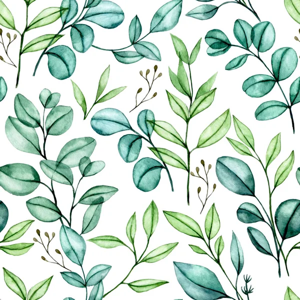watercolor drawing, seamless pattern of transparent eucalyptus leaves, bouquets of tropical green leaves on a white background