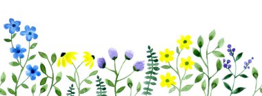 Kusursuz sınır, basit kır çiçekleri çerçevesi. Çiçeklerin suluboya çizimi.