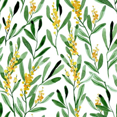 Mimoza çiçeklerinin suluboya desenleri. Çiçeklerin ve sarı yaprakların soyut izi.