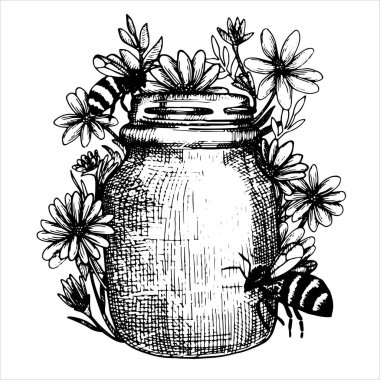 Vintage tarzında vektör çizimi. Tatlım. Ballı kavanoz, bal peteği. Çevre dostu ürün, yiyecek. Grafik çizimi