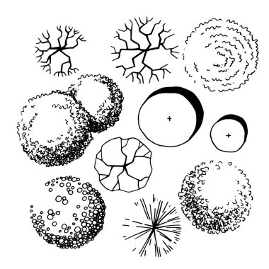 Ağaçlar, el çizimi, üst manzara. mimari mürekkep çizimi, vektör.