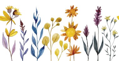 suluboya desenler, kurumuş kır çiçeklerinden, otlardan ve yapraklardan oluşan kusursuz bir sınır. Sonbahar bitkisi, boho