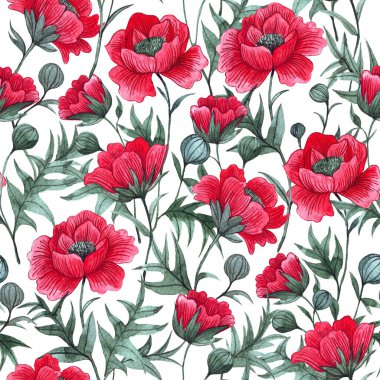 Beyaz arka planda kırmızı haşhaş deseni. suluboya, kır çiçekleriyle renksiz baskı