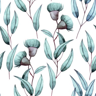 dikişsiz suluboya desen, okaliptüs dalları, çiçekler ve beyaz arka planda yapraklar. zarif yazdırma