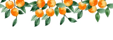 suluboya desenler, portakalların, mandalinaların ve yaprakların sınırsız meyveleri..