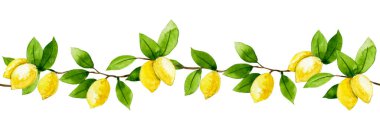 suluboya desenli, limon ve yaprakların sınırsız sınırı.