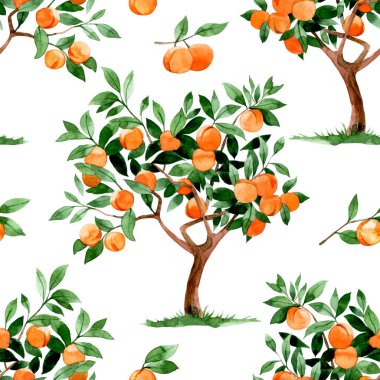 Şeftalili suluboya desen, kayısı ağaçları. Olgun meyve ve yapraklarla yazdır