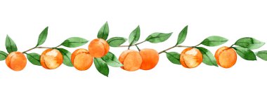 suluboya desen, şeftali, kayısı ve yapraklardan oluşan dikişsiz meyve sınırı..